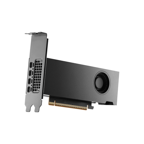 Tarjeta de Video PNY NVIDIA RTX2000 Blackwell 16GB