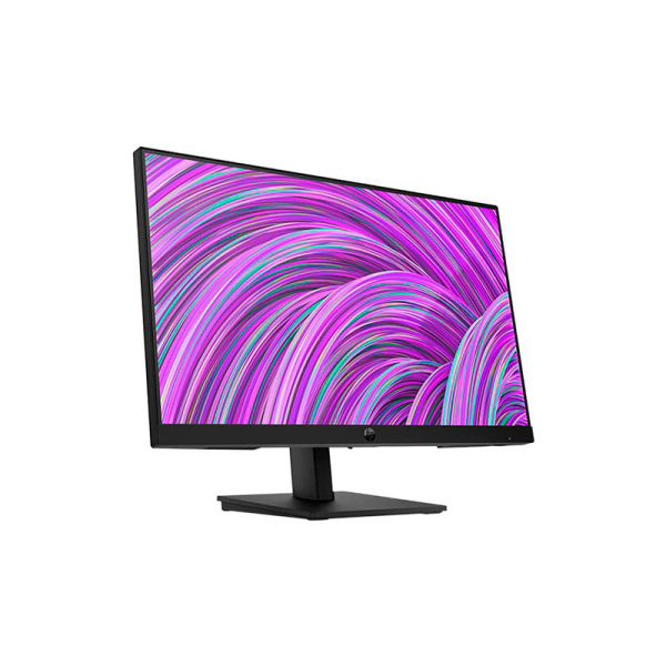 Monitor HP P22v 22